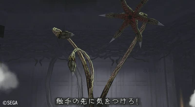 サンサン