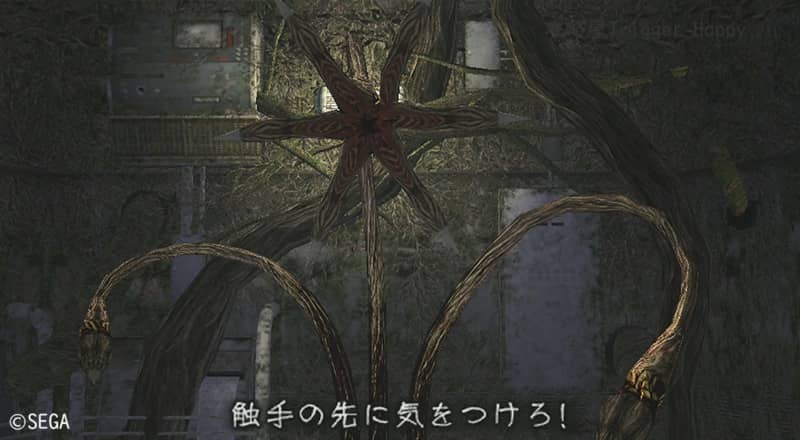 サンサン