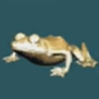 黄金のカエル